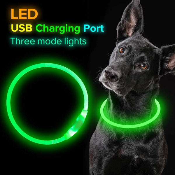 Collar intermitente para mascotas, collar luminoso recargable por USB, collar de seguridad, collares iluminados para caminar de noche, collar eléctrico para perros de neón