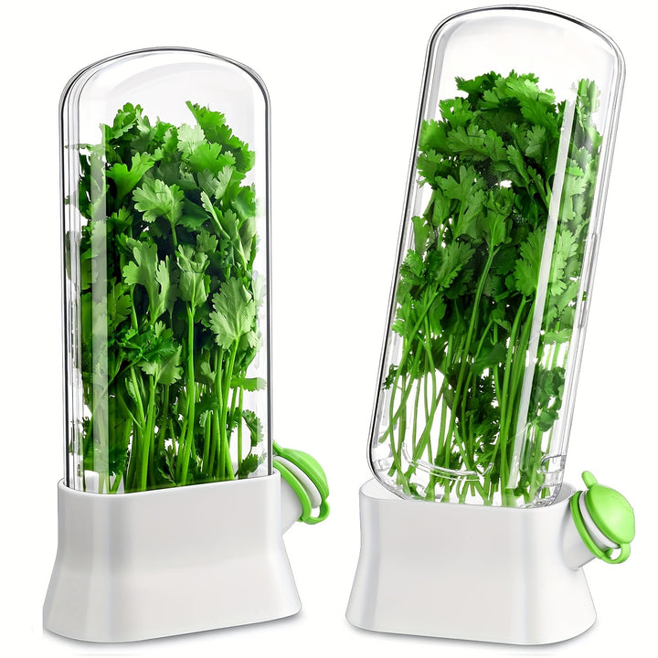 2pcs Herb Saver Storage Container Fresh VegetablePlant Storage Bottle for Cilantro Mint Parsley Asparagus Keeps Greens Fresh for 23 Weeks Kitchen Supplies